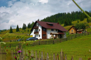 Casa din Plai - Bucovina